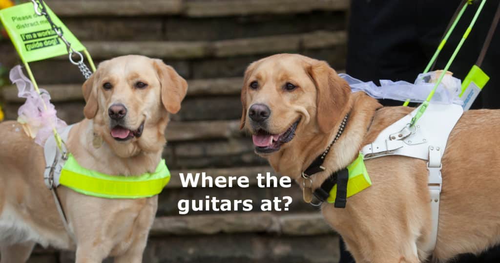 can blind people play guitar