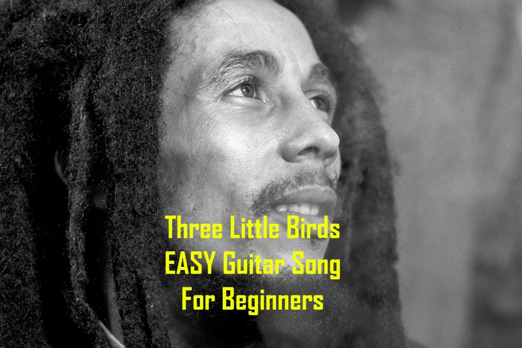 three little birds guitar chords and guitar lesson easy guitar song for beginners